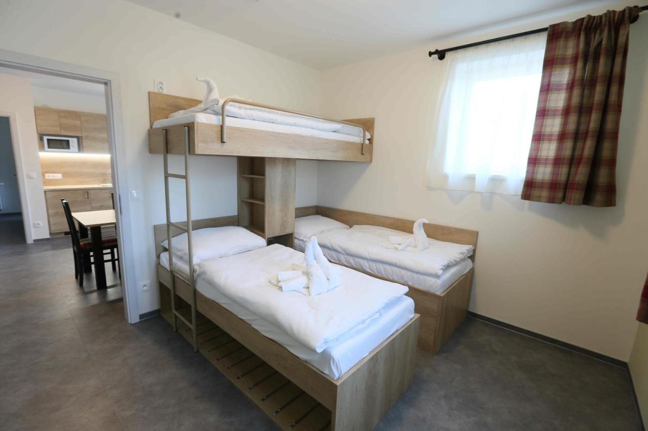 Apartmány AURA Boží Dar Esterno foto